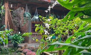 DIJUAL RUMAH  FULL FURNISHED & KEBUN KOPI DI TEMANGGUNG BONUS MOBIL