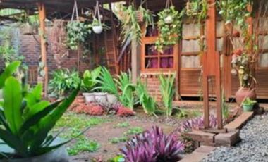 DIJUAL RUMAH  FULL FURNISHED & KEBUN KOPI DI TEMANGGUNG BONUS MOBIL