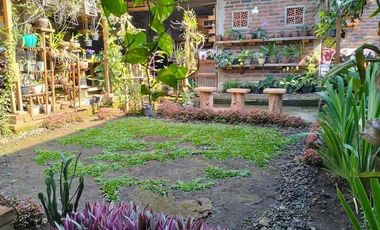 DIJUAL RUMAH  FULL FURNISHED & KEBUN KOPI DI TEMANGGUNG BONUS MOBIL