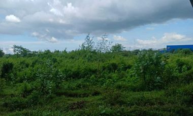 Disewakan tanah dikawasan industri modern cikande 100 rb/m