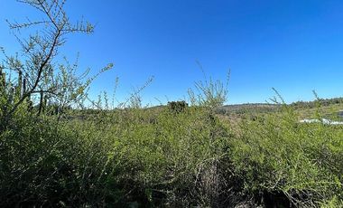 SAN PEDRO- LA MANGA