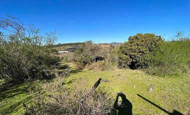 SAN PEDRO- LA MANGA
