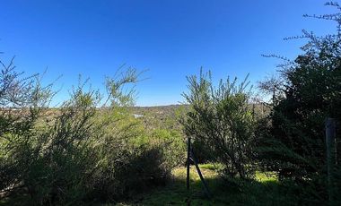 SAN PEDRO- LA MANGA