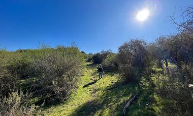 SAN PEDRO- LA MANGA