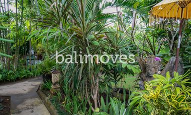 Dijual Homestay Mewah Lima Kamar Tidur di Tepi Pantai Sanur