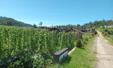 TANAH MURAH ISTIMEWA PINGGIR JALAN RAYA NEPAL VAN JAVA