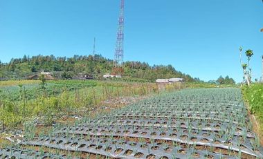 TANAH MURAH ISTIMEWA PINGGIR JALAN RAYA NEPAL VAN JAVA