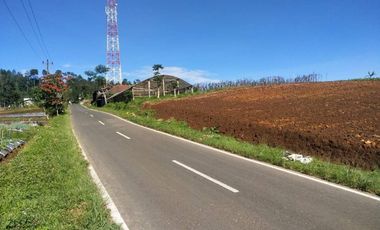 TANAH MURAH ISTIMEWA PINGGIR JALAN RAYA NEPAL VAN JAVA