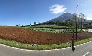 TANAH MURAH ISTIMEWA PINGGIR JALAN RAYA NEPAL VAN JAVA