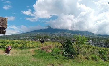 TANAH MURAH ISTIMEWA PINGGIR JALAN RAYA NEPAL VAN JAVA