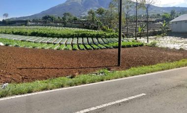 TANAH MURAH ISTIMEWA PINGGIR JALAN RAYA NEPAL VAN JAVA