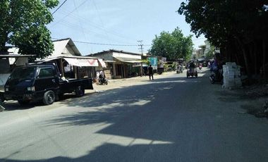Lahan usaha luas 1,4 HA harga 6,5 juta permeter di Paciran, Lamongan