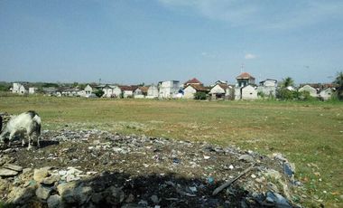 Lahan usaha luas 1,4 HA harga 6,5 juta permeter di Paciran, Lamongan