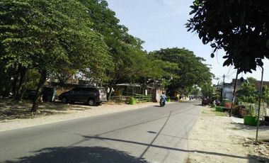 Lahan usaha luas 1,4 HA harga 6,5 juta permeter di Paciran, Lamongan