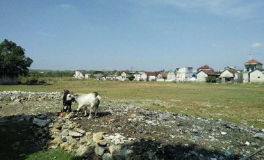 Lahan usaha luas 1,4 HA harga 6,5 juta permeter di Paciran, Lamongan