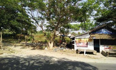 Lahan usaha luas 1,4 HA harga 6,5 juta permeter di Paciran, Lamongan