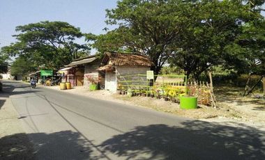 Lahan usaha luas 1,4 HA harga 6,5 juta permeter di Paciran, Lamongan