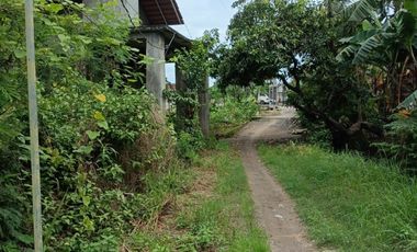 Tanah superjumbo UK langka 6 x 16 hrg 120jt