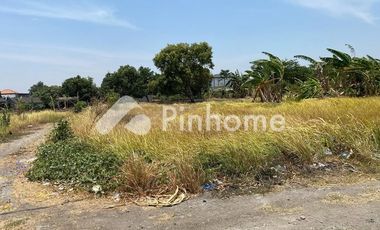 Tanah murah Domas Menganti Gresik Dijual cepat B.U Poll dkt Jl. Raya