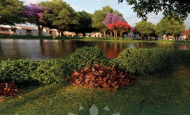 TERRENO EN VENTA EN RIBERA DEL CARDENAL EN CHAPALA