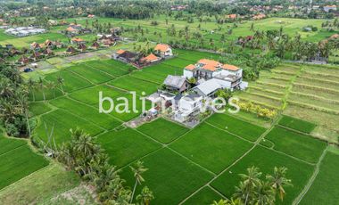 Vila Enam Kamar Tidur Luas Bergaya Industrial di Kemenuh Gianyar