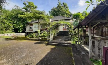 Dijual Villa di jl kaliurang km 17an ,Sleman (aktif ) dkt Wisata dll