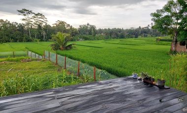 For Sale Fully Furnished Villa in Bali