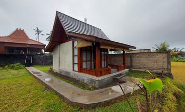 For Sale Fully Furnished Villa in Bali