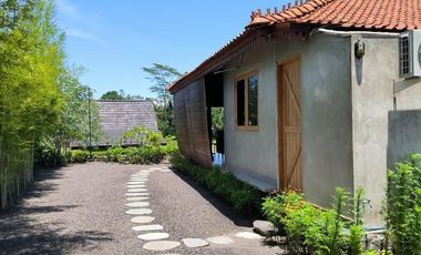 For Sale Fully Furnished Villa in Bali