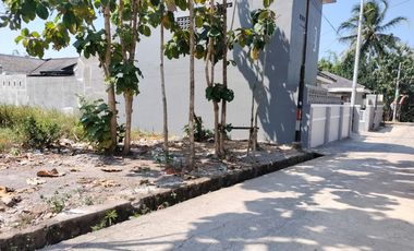 TANAH HOOK 300M TERMURAH DEKAT BANGJO TANJUNG MERTOYUDAN MAGELANG 