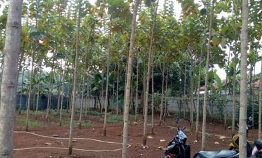 Kavling Sudah Pagar Beton di BSD sc7004 ms