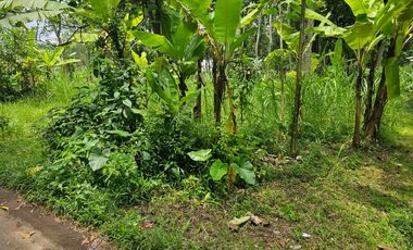 Turun harga,tanah di Salatiga pemilik langsung, Nego