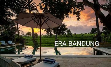 Villa Hotel Resort  di KUTA UTARA (daerah Canggu Kerobokan)