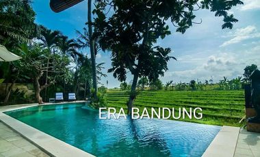Villa Hotel Resort  di KUTA UTARA (daerah Canggu Kerobokan)