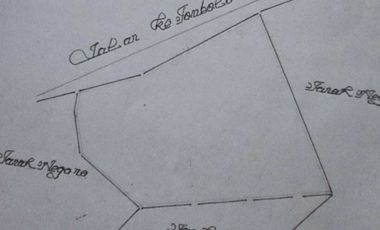 Tanah di  Malino 3.201 Meter TinggiMoncong  Jalan Poros Lewati Pinus