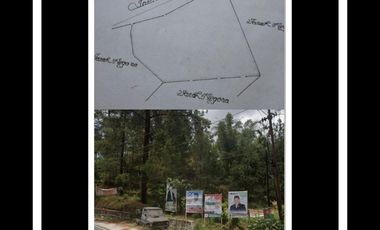Tanah di  Malino 3.201 Meter TinggiMoncong  Jalan Poros Lewati Pinus