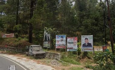 Tanah di  Malino 3.201 Meter TinggiMoncong  Jalan Poros Lewati Pinus