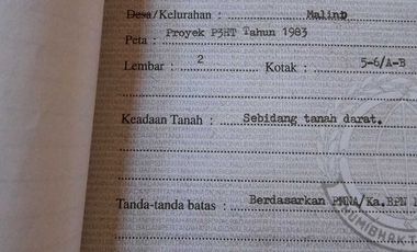 Tanah di  Malino 3.201 Meter TinggiMoncong  Jalan Poros Lewati Pinus