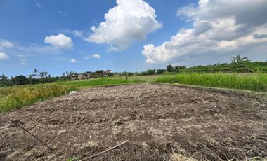 Dijual Tanah Ubud 350 m2 sangat strategis View Sawah Aktif