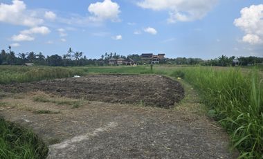 Dijual Tanah Ubud 350 m2 sangat strategis View Sawah Aktif