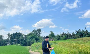 Dijual Tanah Ubud 350 m2 sangat strategis View Sawah Aktif