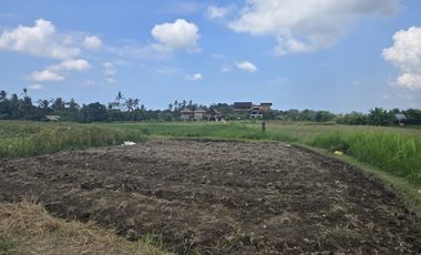 Dijual Tanah Ubud 350 m2 sangat strategis View Sawah Aktif