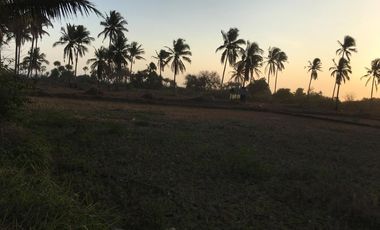 Jual Tanah di Pantai Bayah, Lebak, Banten