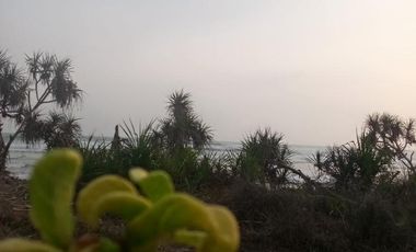 Jual Tanah di Pantai Bayah, Lebak, Banten