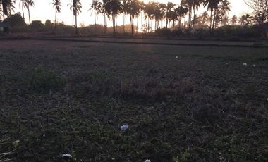 Jual Tanah di Pantai Bayah, Lebak, Banten