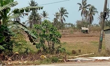 Jual Tanah di Pantai Bayah, Lebak, Banten