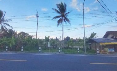 Tanah di jl. Raya  Borobudur cocok untuk restoran dan hotel