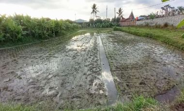 Tanah di jl. Raya  Borobudur cocok untuk restoran dan hotel