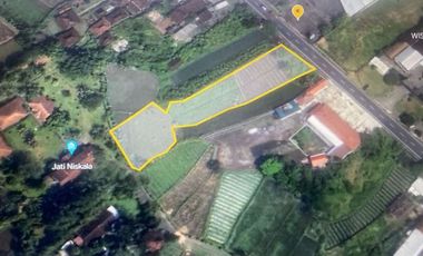 Tanah di jl. Raya  Borobudur cocok untuk restoran dan hotel