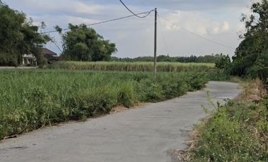 Tanah termurah pinggir jalan desa kemlagi mojokerto